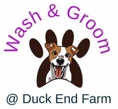 Dog Grooming Parlour