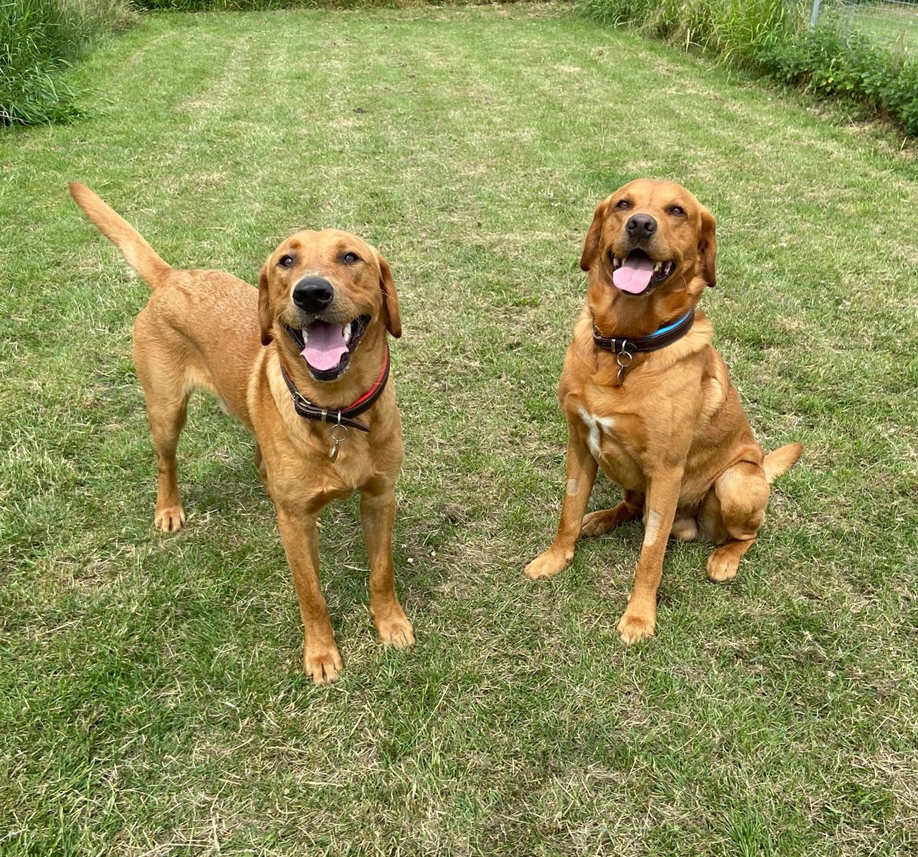 Cooper & Roky Siddle